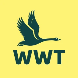 WWT Washington simgesi